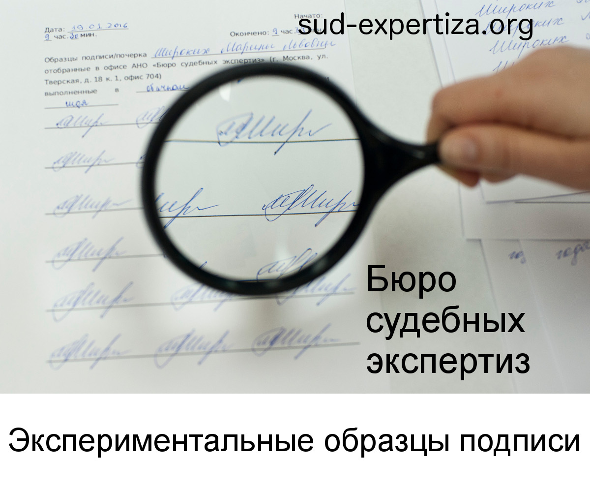 Экспериментальные образцы подписи